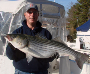 rockfish2 12-4-013