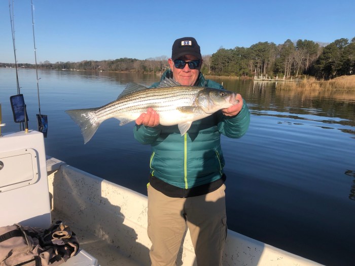 Ben Ames caught this nice 28" rockfish while fishing for speckled trout. Photographed and released promptly.